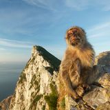 Gibraltar