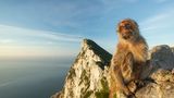 Gibraltar
