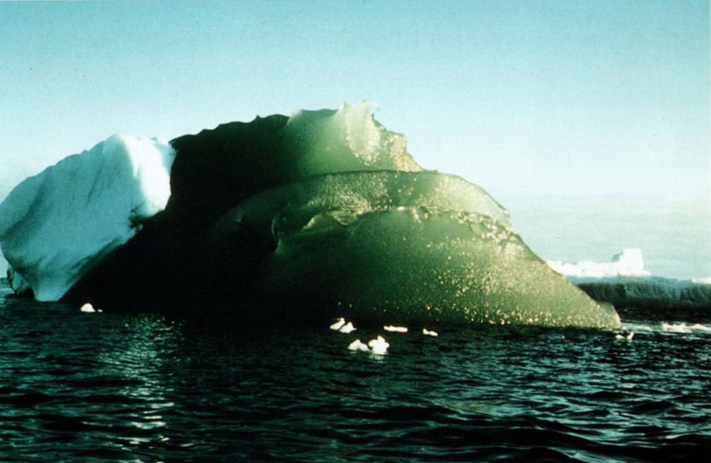 Grüne Eisscholle in Weddell Sea, Antarktis 16.02.1985