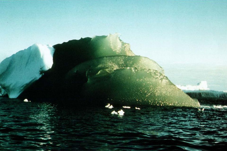 Grüne Eisscholle in Weddell Sea, Antarktis 16.02.1985