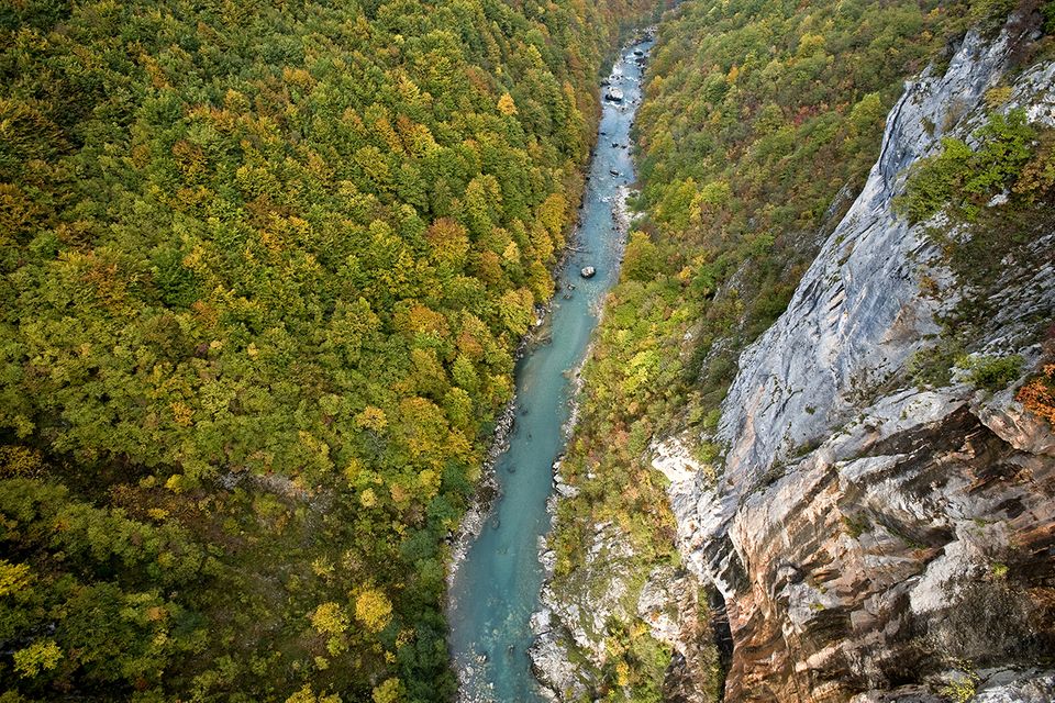 Tara-Schlucht, Montenegro  1.5059