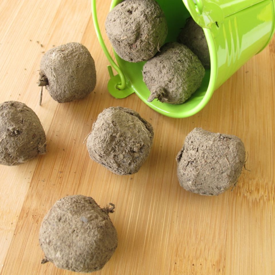 Samenbomben, Seedbombs
