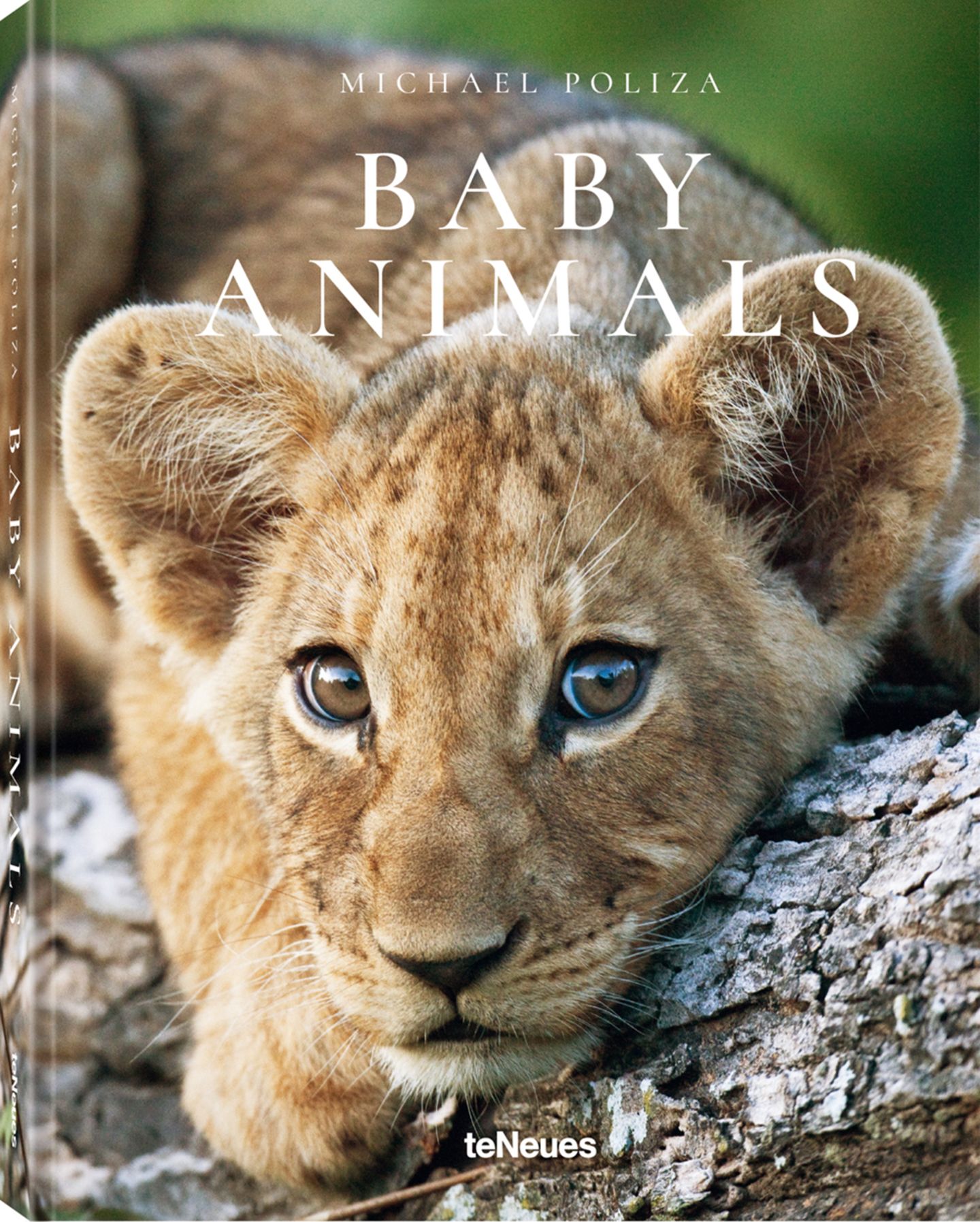 Baby Animals von Michael Poliza, erschienen bei teNeues