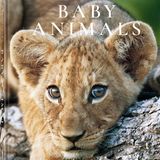 Baby Animals von Michael Poliza, erschienen bei teNeues