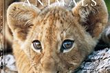 Baby Animals von Michael Poliza, erschienen bei teNeues