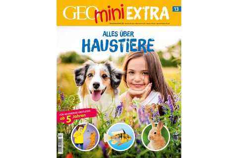 GEOmini Extra