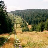 Grünes Band Deutschland