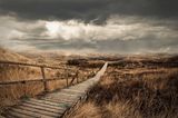 Amrum