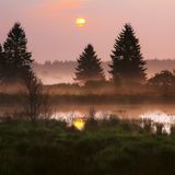 Brackvenn, Hohes Venn