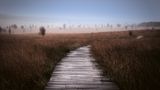 Hochmoor, Hohes Venn