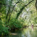 Das Grosse Ried, Straßburg