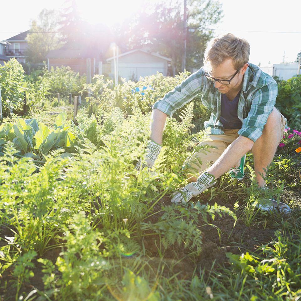 Mann arbeitet im Garten