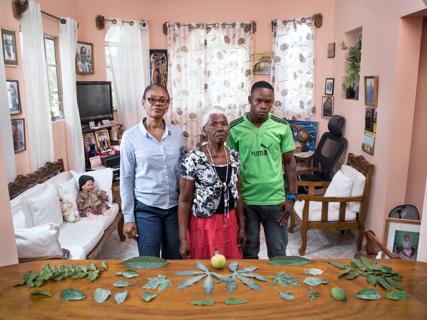 Haiti Hausapotheke, Haiti