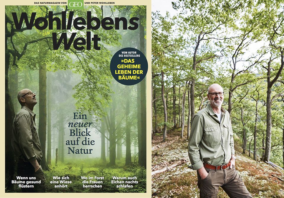 Wohllebens Welt Wohllebens Welt