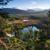 Cairngorms National Park, Scotland