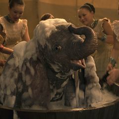 Dumbo