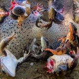 World Press Photo 2019