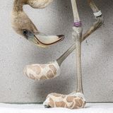 World Press Photo 2019