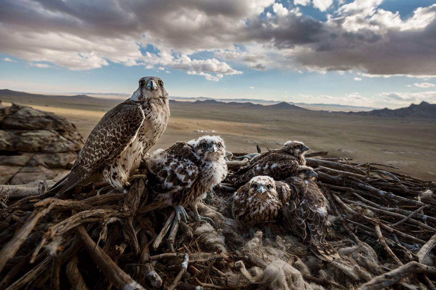 World Press Photo 2019