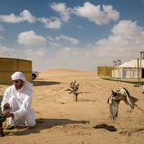 World Press Photo 2019