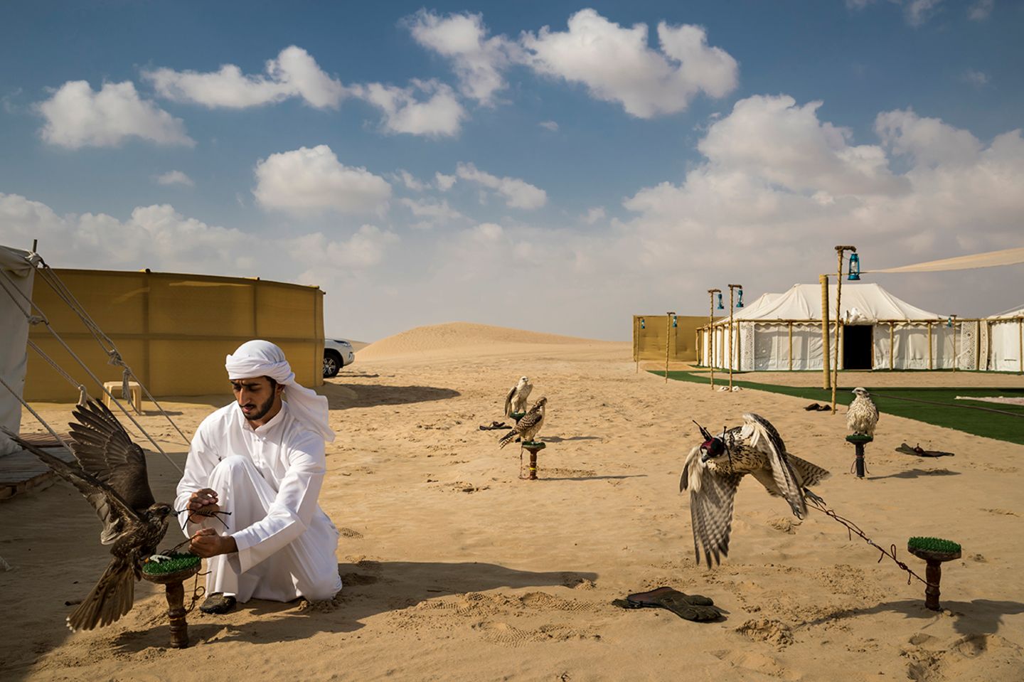 World Press Photo 2019