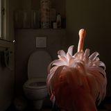 World Press Photo 2019