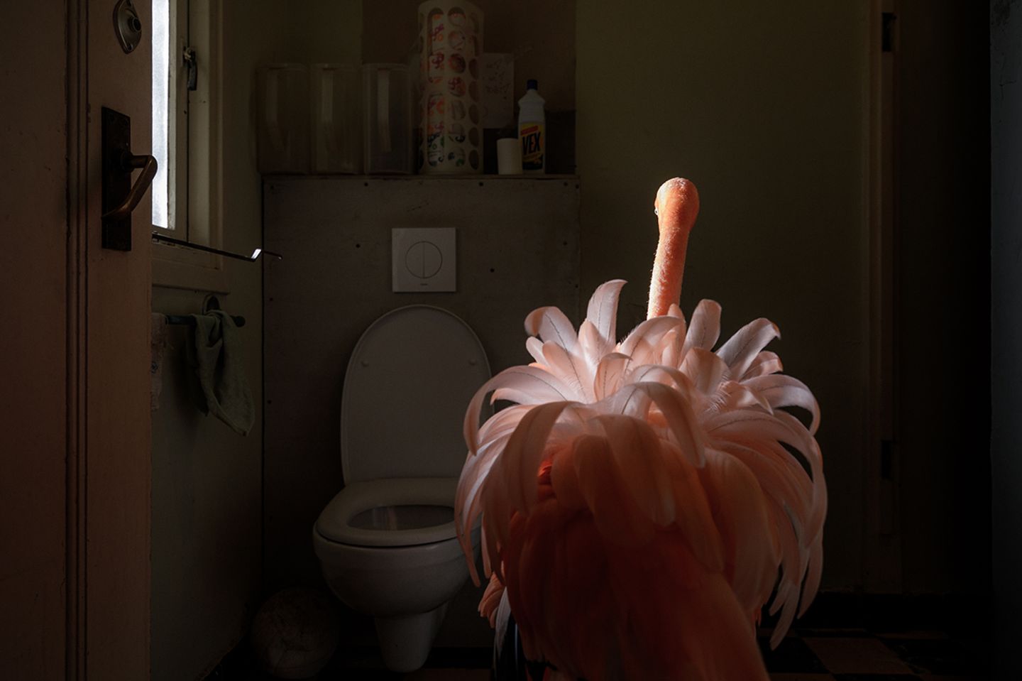 World Press Photo 2019