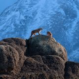 World Press Photo 2019