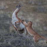 World Press Photo 2019