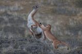 World Press Photo 2019