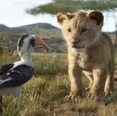 Der König der Löwen