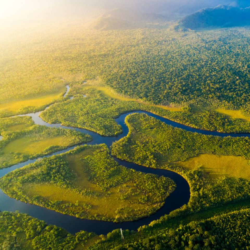 Amazonas, Brasilien