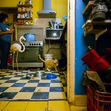 Sony World Photo 2019