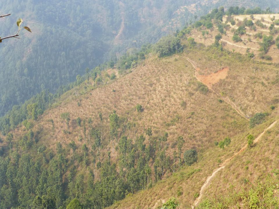 Nepal: Der große Holzbedarf hinterlässt schwere Wunden in der Landschaft Nepal: Der große Holzbedarf hinterlässt schwere Wunden in der Landschaft