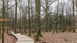 Baumwipfelpfad Dänemark