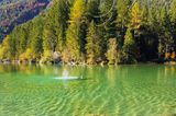 HINTERSEE, RAMSAU
