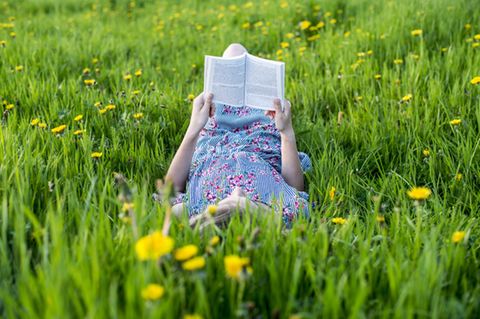 Lesen im Frühling