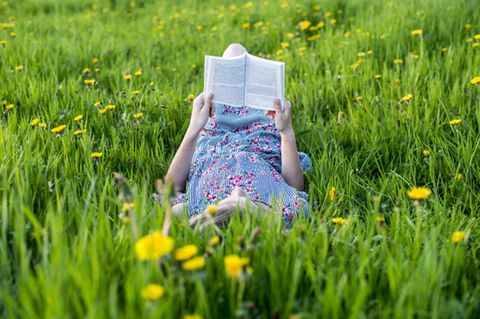 Lesen im Frühling