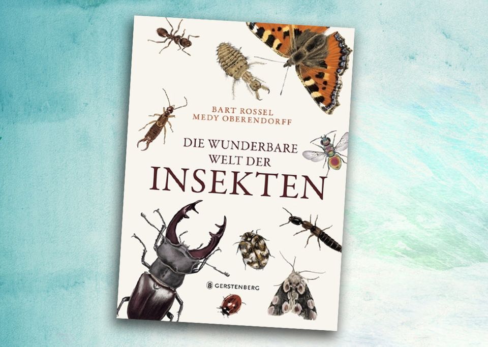 Wunderbare Welt der Insekten Wunderbare Welt der Insekten