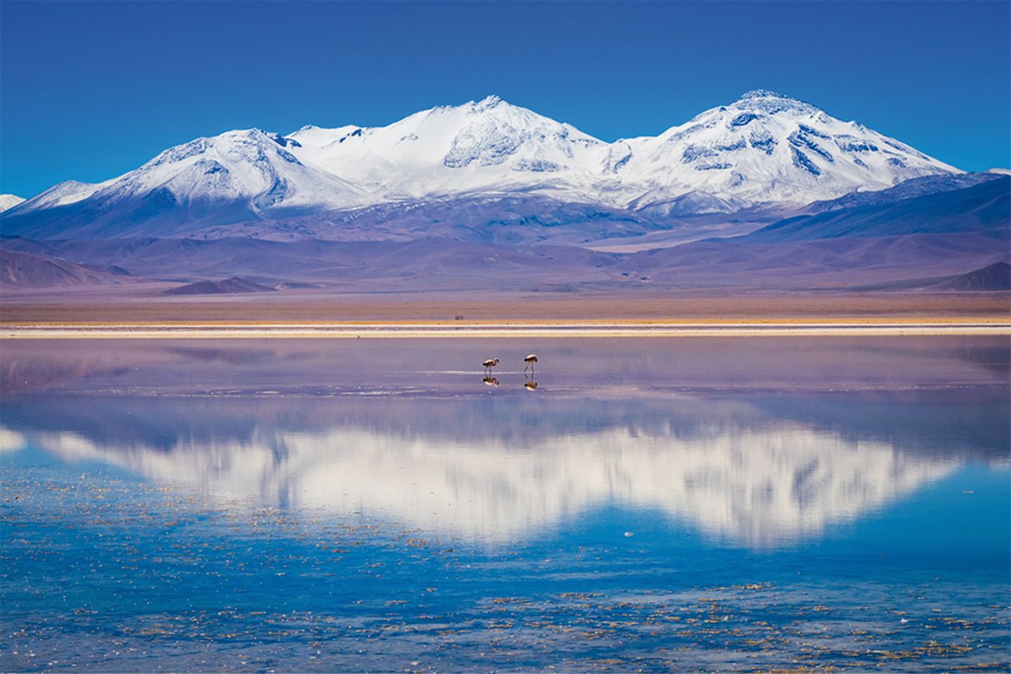 Vulkan Tres Cruzes an der Laguna Rosa in der Atacama Wüste
