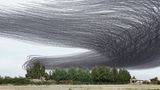 Xavi Bou - Ornitographies