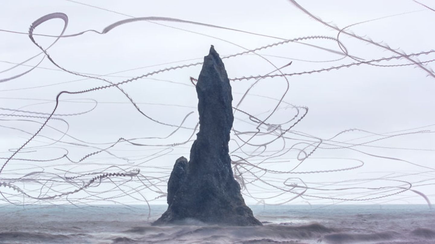 Xavi Bou - Ornitographies