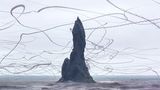 Xavi Bou - Ornitographies