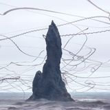 Xavi Bou - Ornitographies