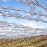 Xavi Bou - Ornitographies