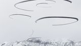 Xavi Bou - Ornitographies