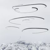 Xavi Bou - Ornitographies