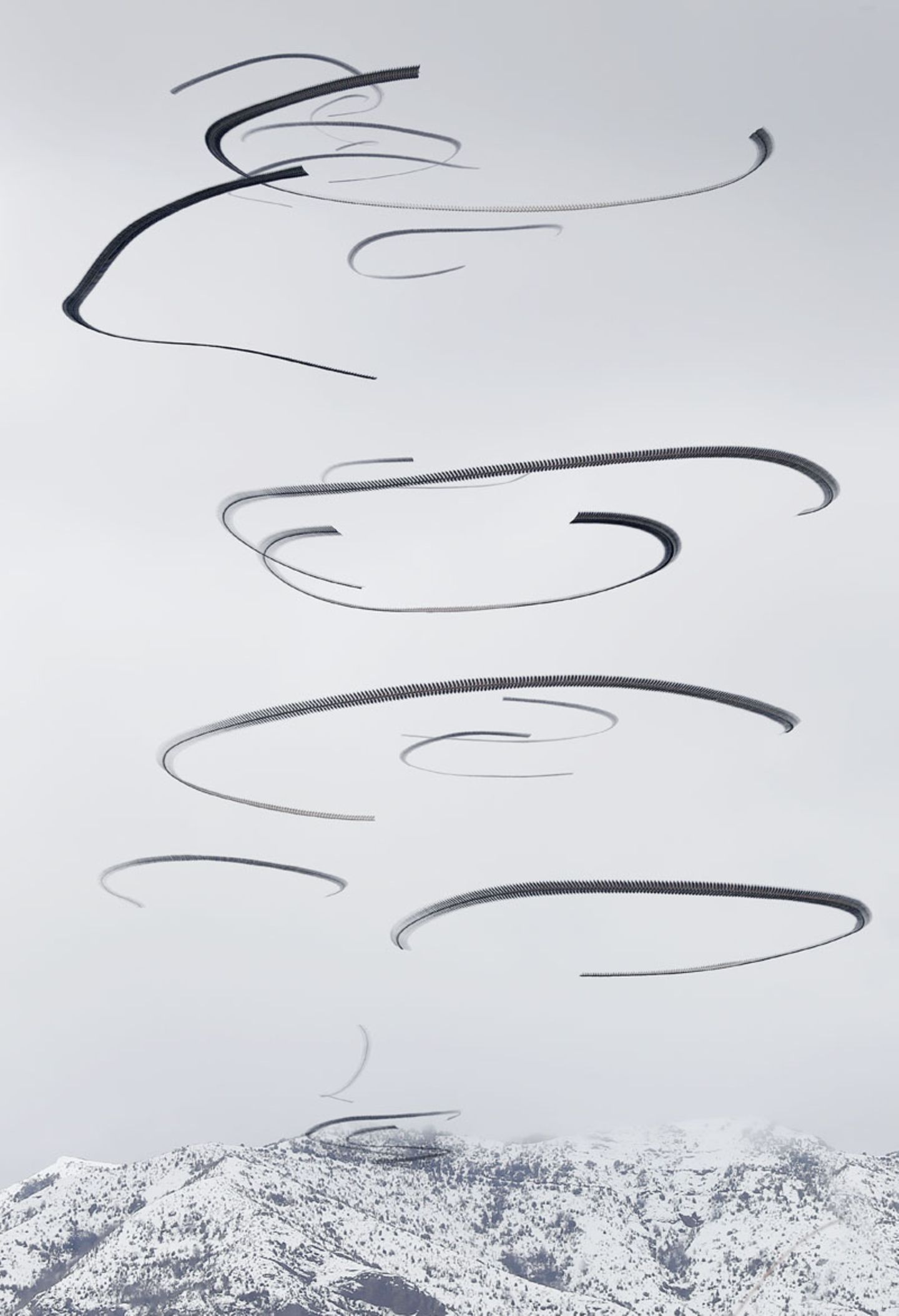 Xavi Bou - Ornitographies