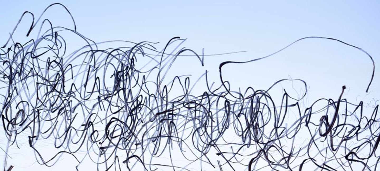 Xavi Bous Lieblingsbild Xavi Bou - Ornitographies