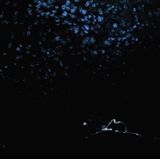 Klaus Tamm - Plagegeist